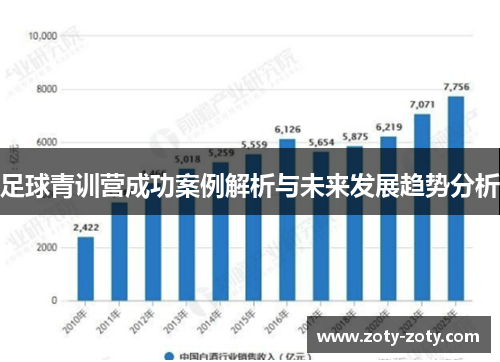 足球青训营成功案例解析与未来发展趋势分析