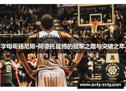 字母哥扬尼斯·阿德托昆博的冠军之路与突破之年