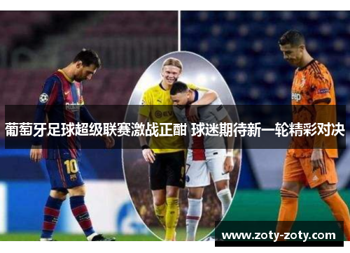 葡萄牙足球超级联赛激战正酣 球迷期待新一轮精彩对决